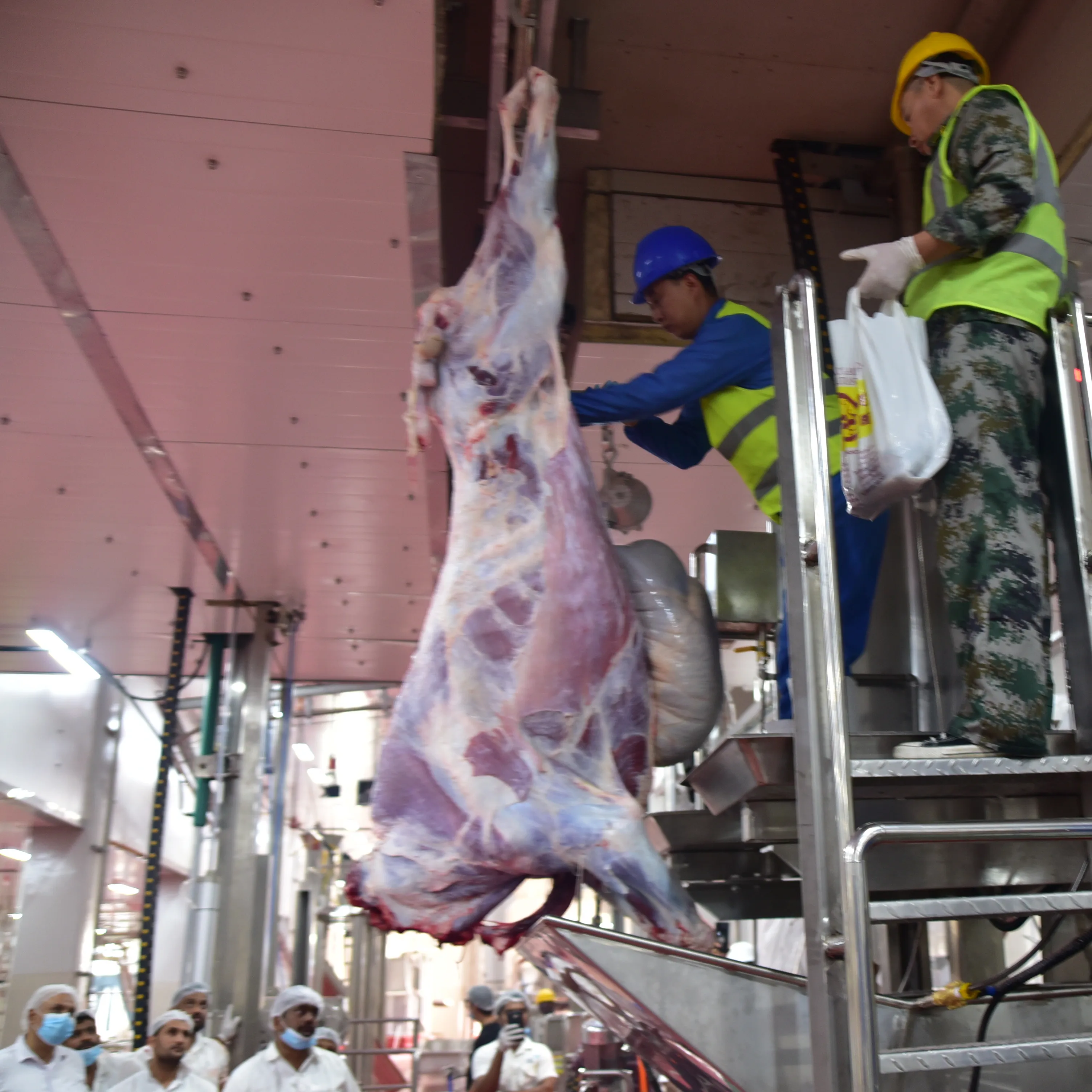 ritual_cattle_slaughterhouse_equipment_for_cow_halal_turnkey_slaughtering_abattoir_plant