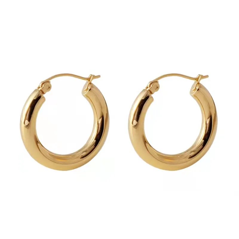 

Dainty 18k Gold Filled Hypoallergenic Chunky Stainless Steel Huggie Hoop Earrings, Gold / silver