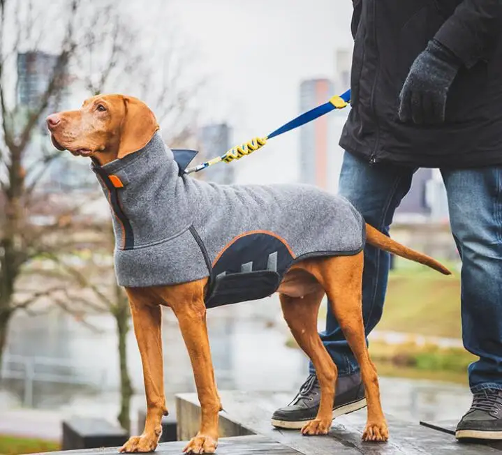 

Winter high neck designer 4xl dog jackets fashion big dog luxury jacket S-5XL jacket for dogs