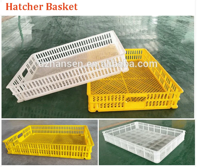 221 Plastic Quail Egg Tray For Incubator Plastic Professional Incubator