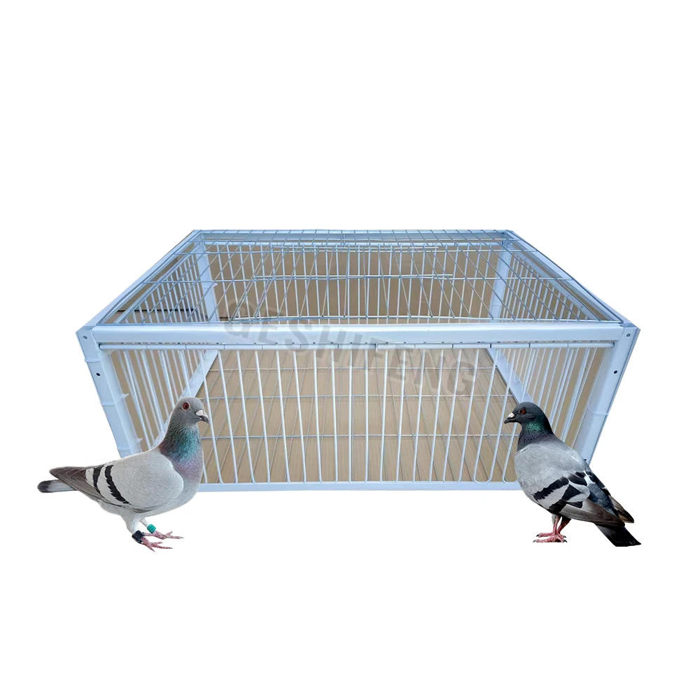 Metal Wire Bars Frame Pigeon Cage Door One Way Entrance Racing Pigeon Activities Doors Prevent Flying Pigeon Trap Door