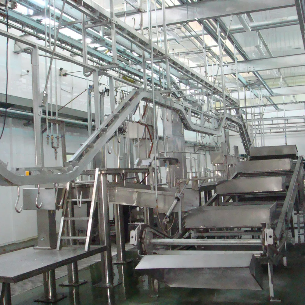 halal_meat_slaughter_process_camel_with_quality_abattoir_machine