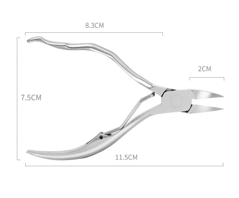 IMG_7565(20191106-135158)