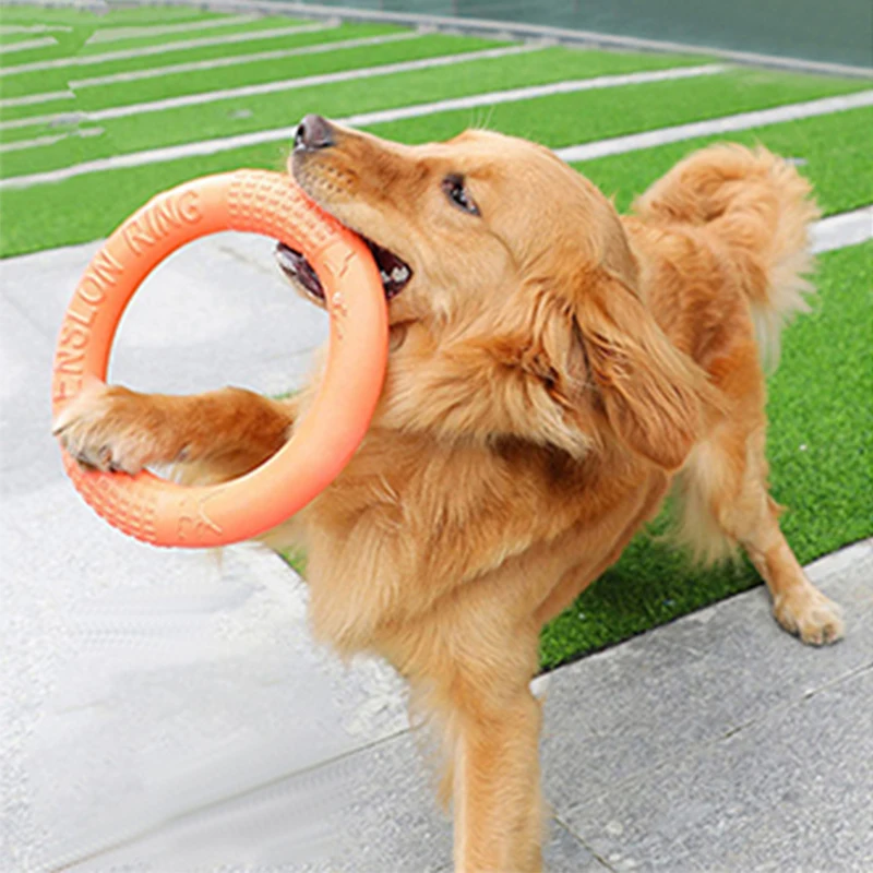 

Dropshipping Pet Flying Discs EVA Dog Training Ring Resistant Bite Floating Toy Puppy Outdoor Interactive Products