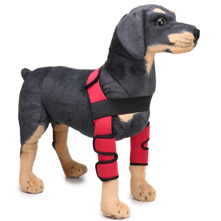 

Wholesale joint wrap recovery protector sleeve canine knee brace legs dog leg protect sleeve, Black