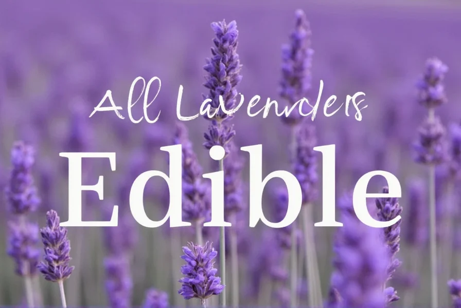 Platter of lavender-infused desserts