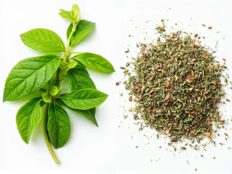 Fresh vs. Dried Herbs: When to Use Each for Best Flavor
