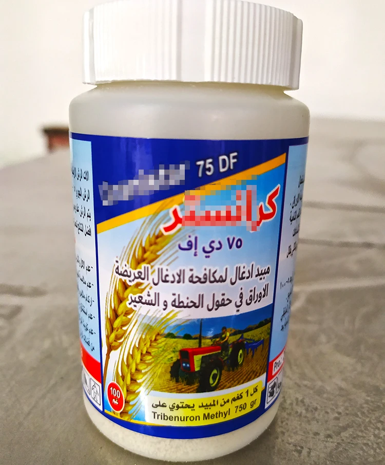Tribenuron 7502a.jpg