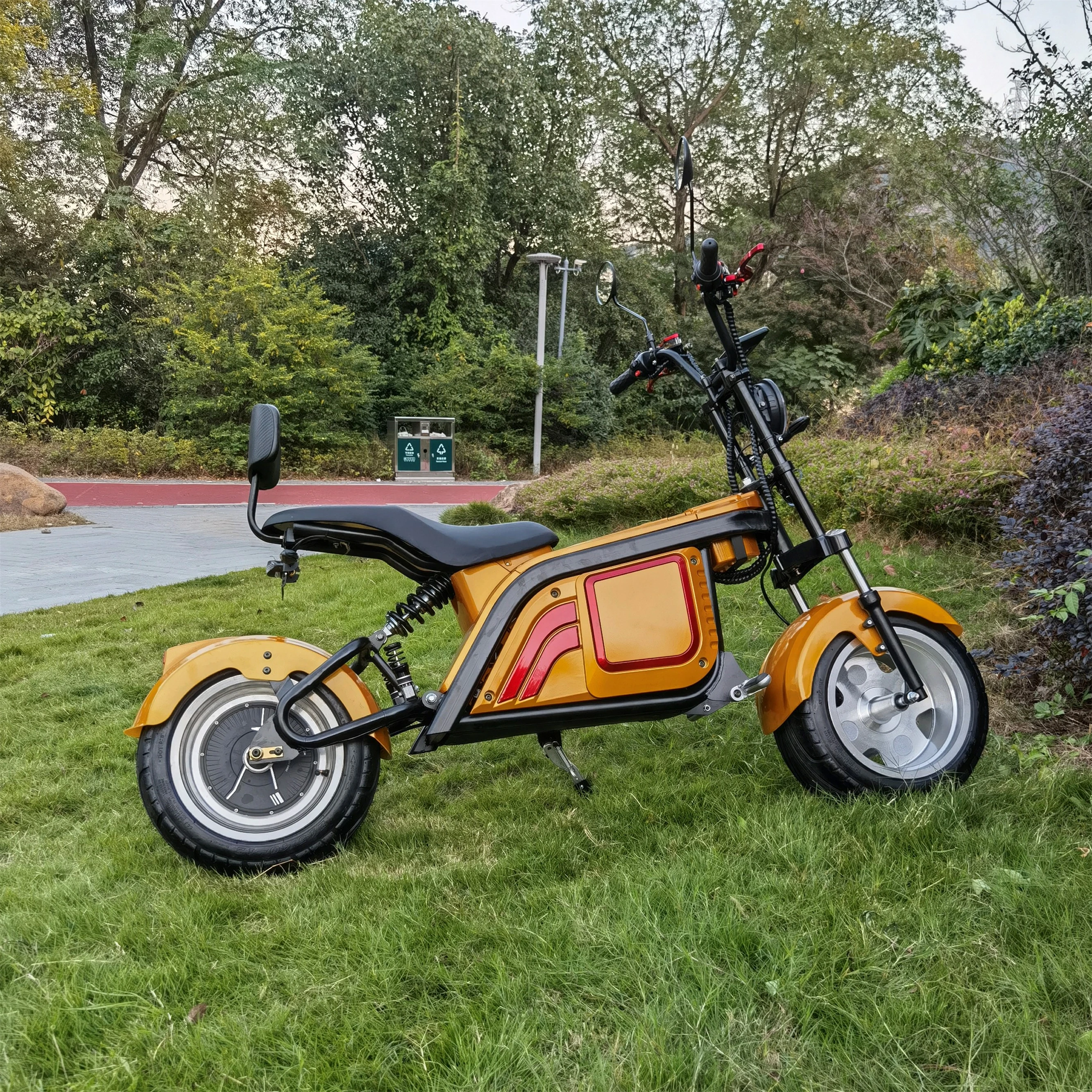 

New Arrival Citycoco 2000W Scooter Electric Motorcycles Adult