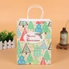 Custom Design Prescription Kraft Paper Bag For Gift