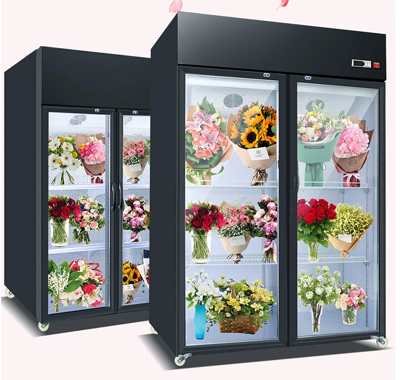 Venta al por mayor nuevos modelos de online los