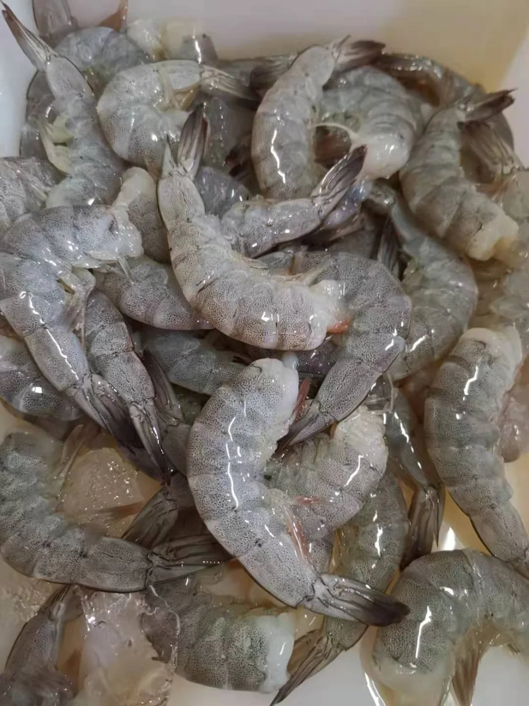 
Frozen vannamei shrimp wholesale and seafood 