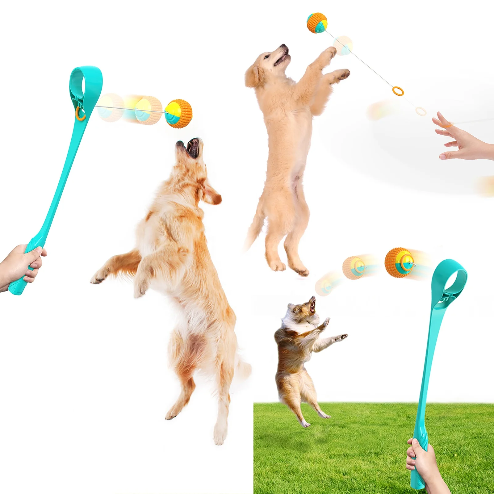 

Secure pet dog accessories throwing stick outdoor interactive walking ball outdoor training gnaw puppy chew pet toy dog chew toy, D/blue,blue,yellow