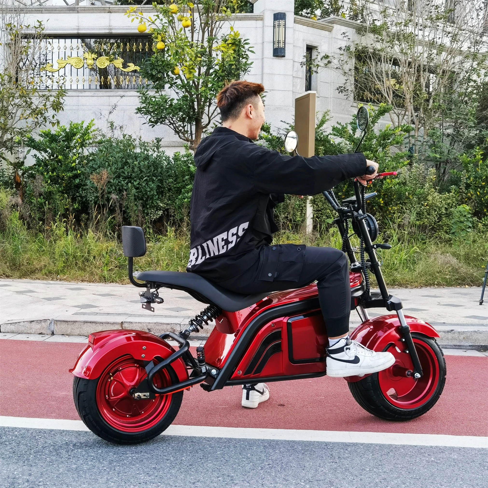 

EU Warehouse Professional Manufacture With Good Quality For Citycoco Electric Scooter 3000W