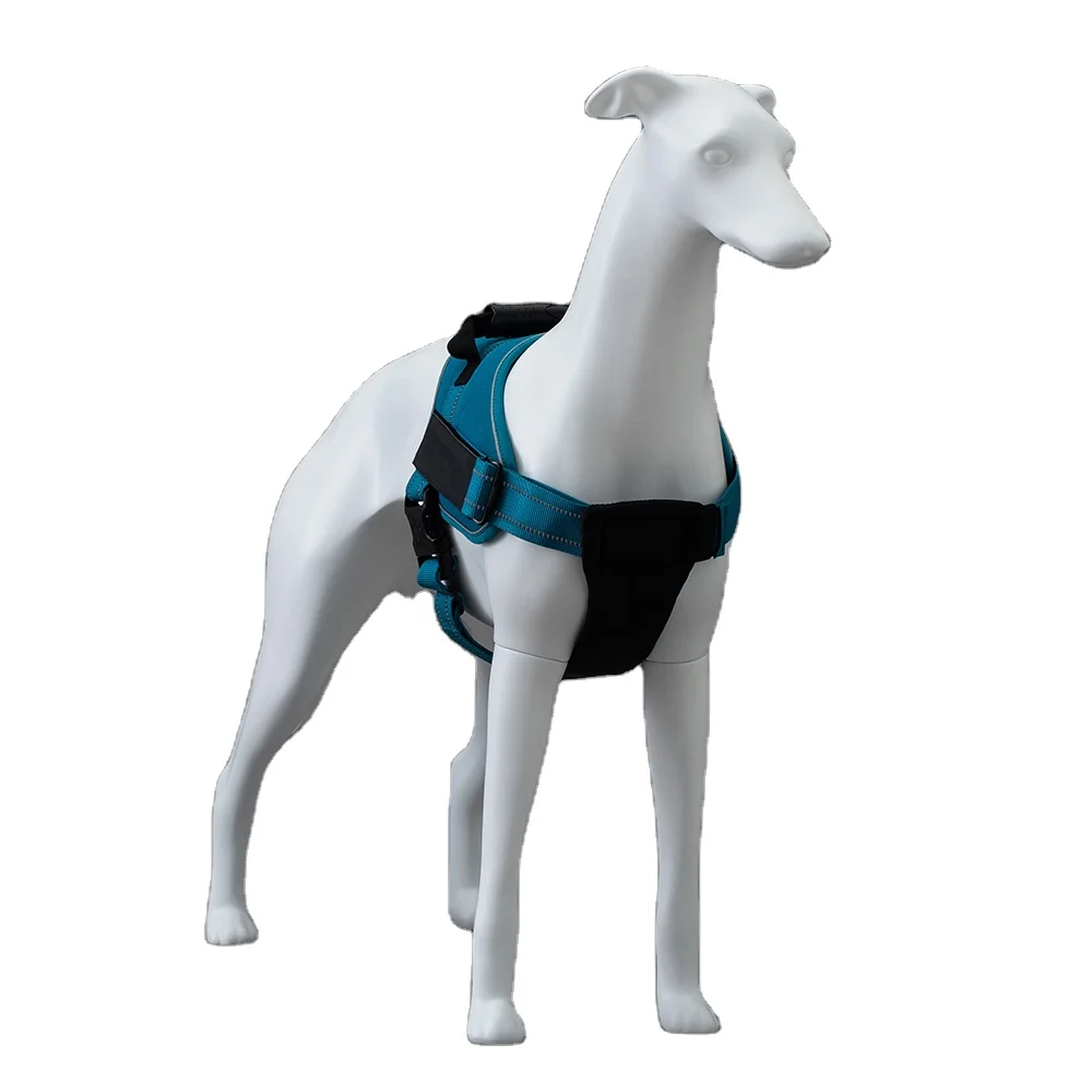 

LT Factory Price Dog Mannequin For Pet Clothes Fiberglass Decorative Dog Mannequins For Photography