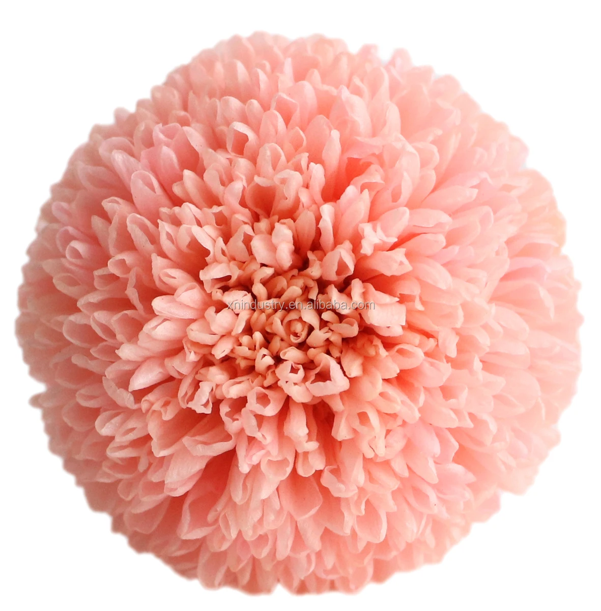 

top seller dried flowers box chrysanthemum flower head for DIY cuddle barrel gifts material 5-6cm ping pong chrysanthemum