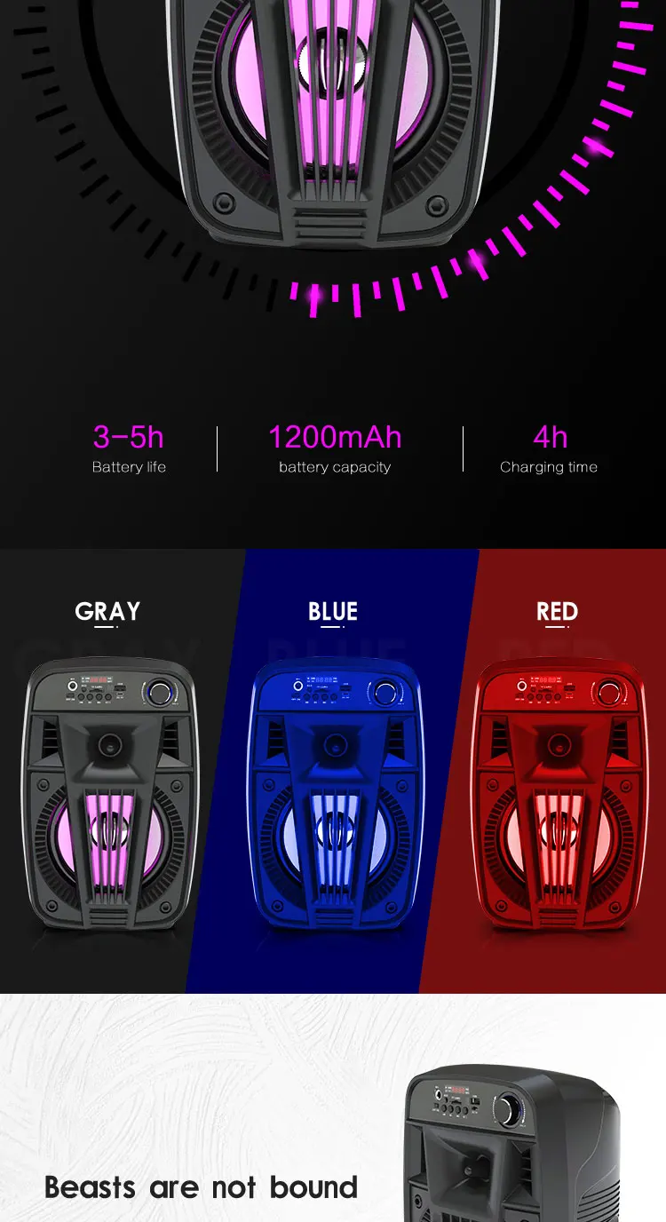 CD 101 BT karaoke wireless bluetooth portable dj party speaker - ANKUX.COM