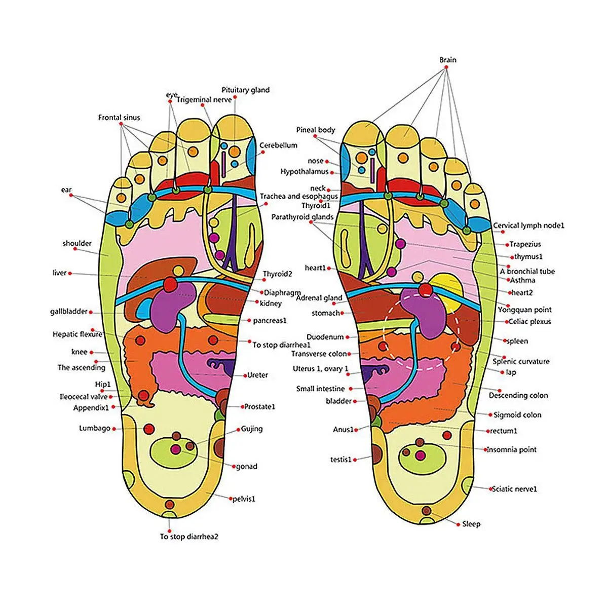 Acupressure Foot Indoor Sandals Reflexology Massage Slippers For Men