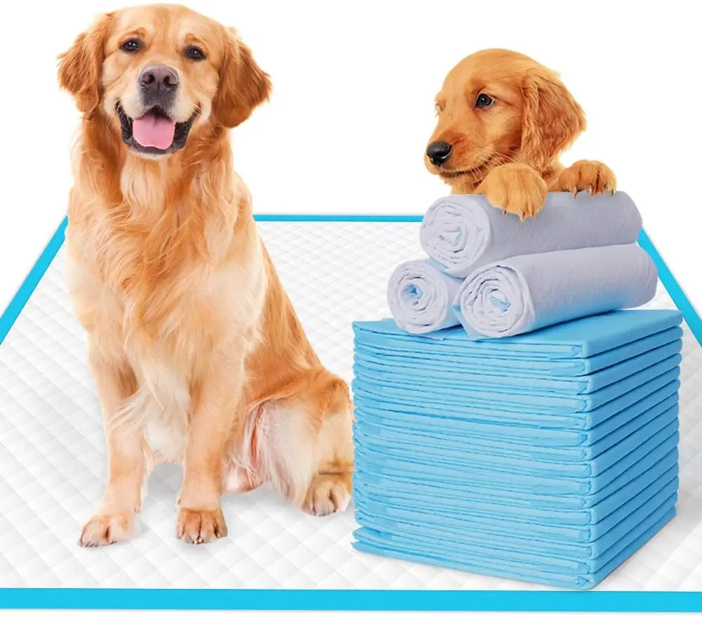 

High quality pet cat mat pad Pet Training Pad Pads Wholesale Prices, Blue
