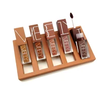 

5 colors China cosmetics vendors lipgloss lip stick private label clear waterproof lip gloss