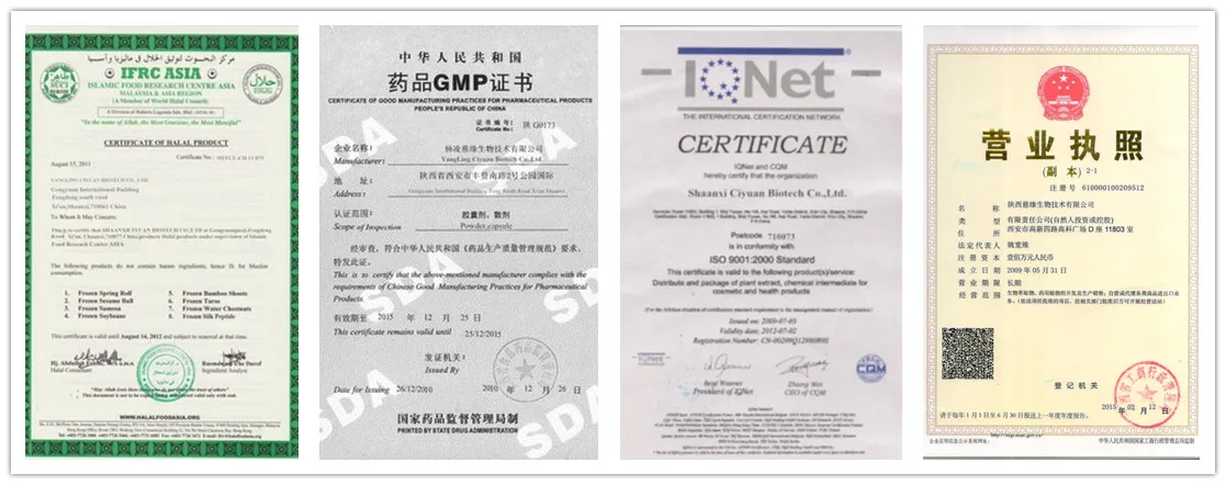 Certificate 2.jpg