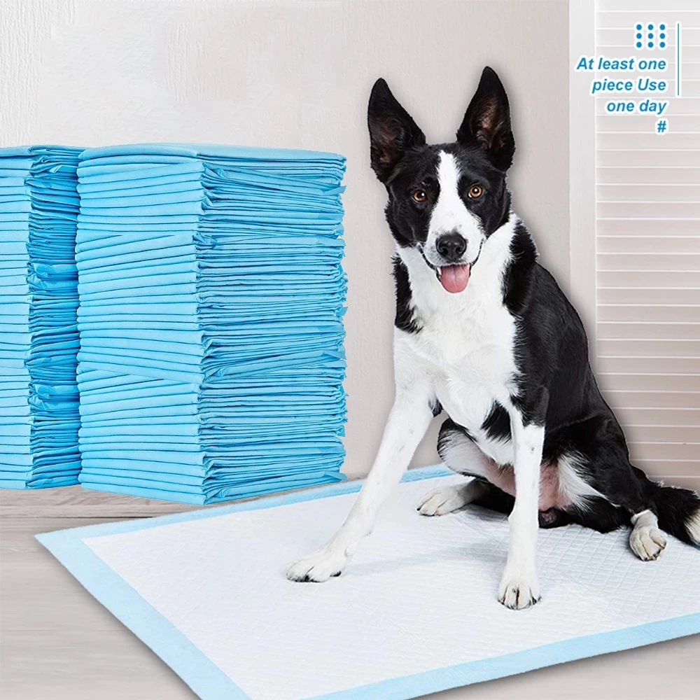 

Amazon Hot Selling Leak-proof 5-Layer Pee Pads Quick-dry Pet Training Pad for Dogs, Blue/customized