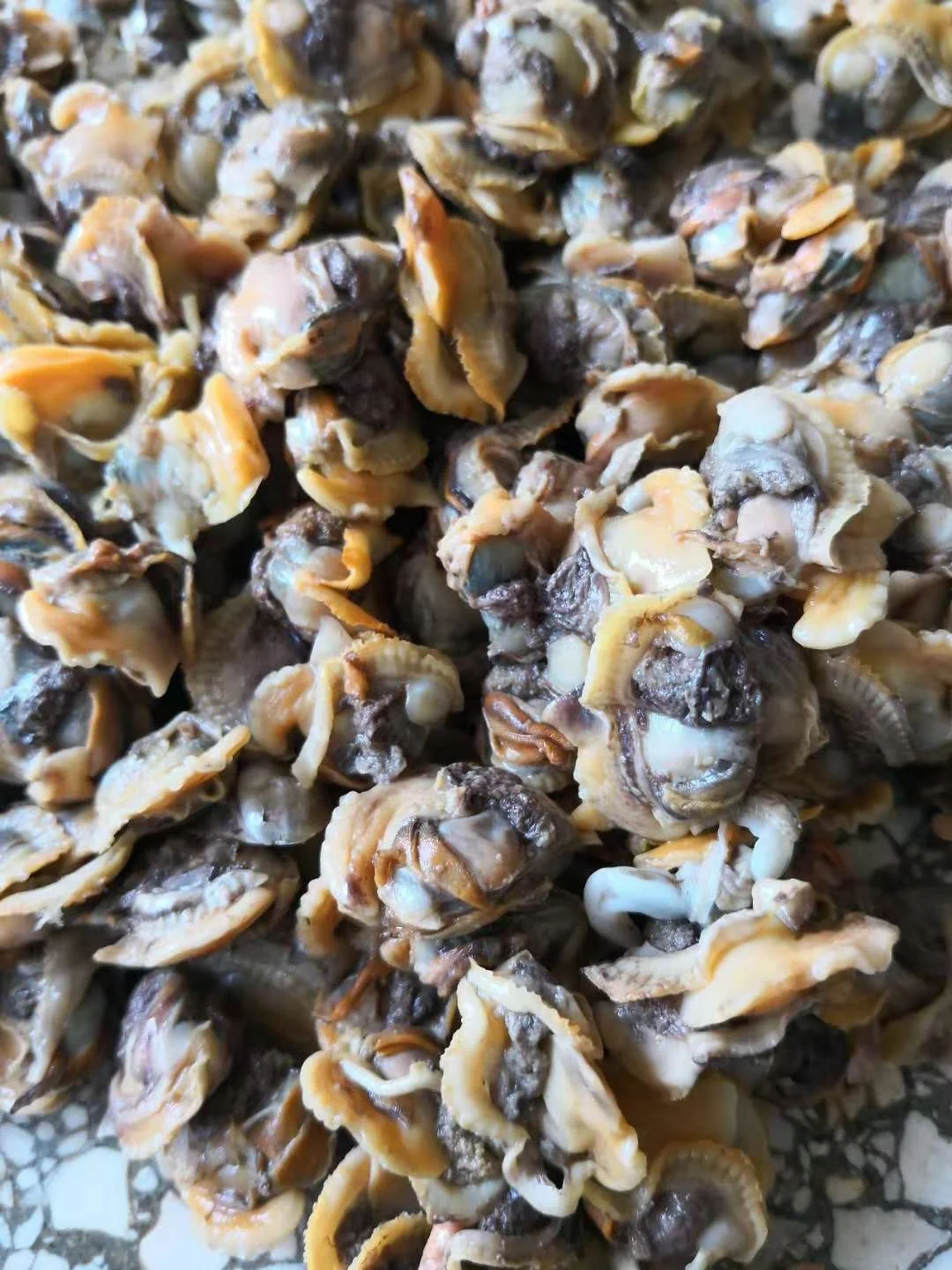 
Good Sale Seafood Shell Fish Frozen Blood Clams Meat 