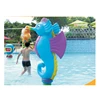 Guangzhou manufacturer kids spray pond swimming pool spray nozzles for waterfall