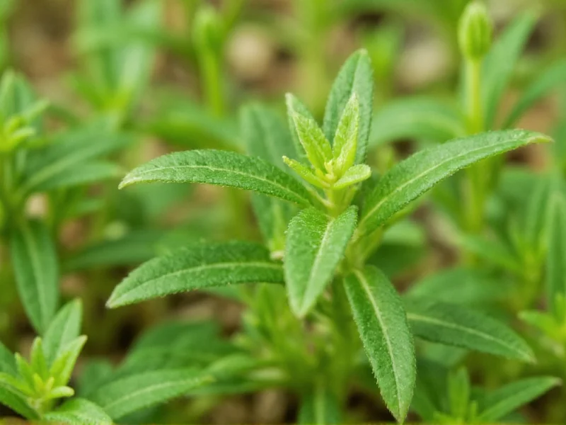 Thyme Plant: Complete Growing Guide & Care Tips