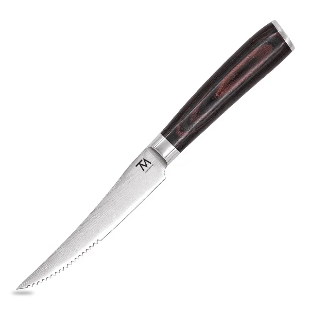 

4.5 Inch Stainless Steel Professional Steak Knife Wholesale Custom Sharp Serrated Blade Kitchen Steak Knife