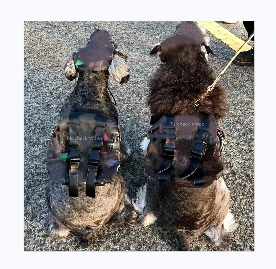 

Luxury brand color printing classic LOGO design cute pet dog snacks own backpack