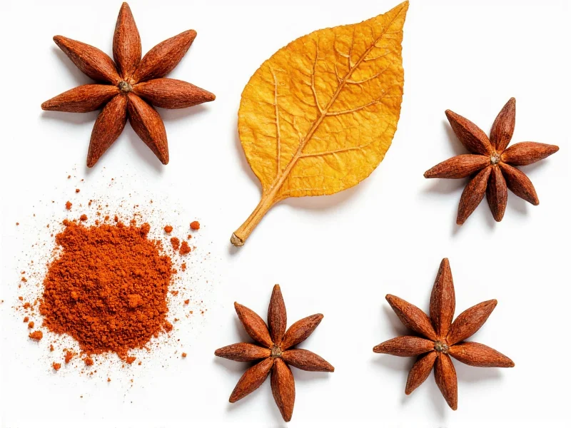 Best Five Spice Alternatives: Expert Substitution Guide