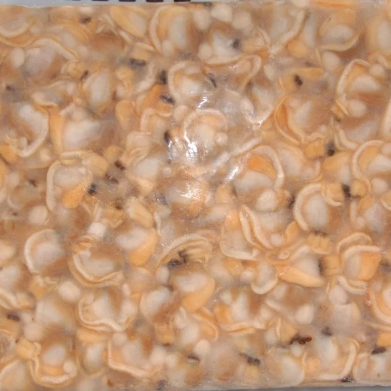 
New Coming Frozen Whole Shell Boiled Short Neck Clam 