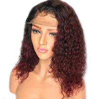 

Sunnymay 13x4 130% Curly Human Hair Wig Pre Plucked 99j Ombre Color Lace Front Human Hair Wig Remy Hair Lace Front Wig For Women