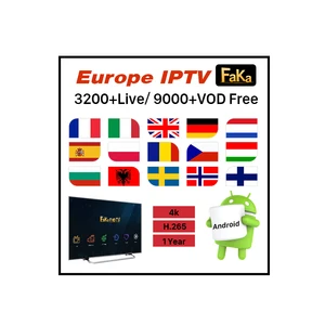 12 Month FAKAFHD IPTV System Hotels European Channels