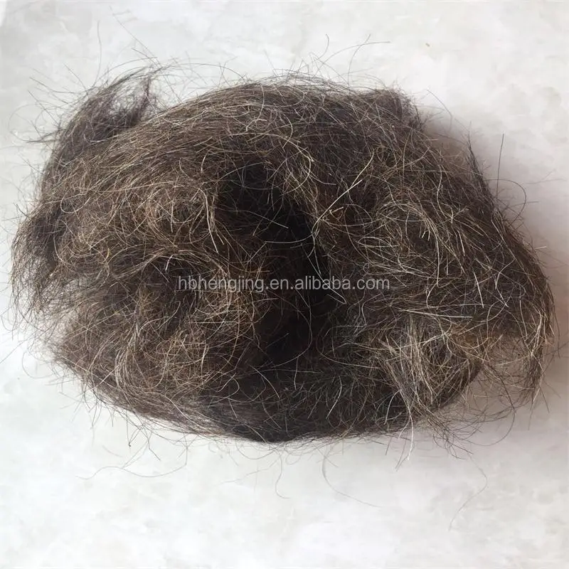 horse hair (2).jpg