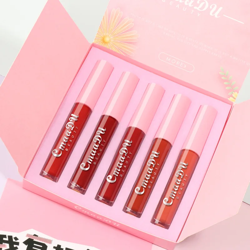 

Wholesale Private Label Lipgloss Vegan Matte Liquid Lip Gloss Waterproof Lip Glaze set