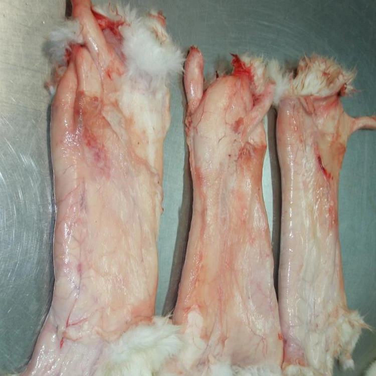 
Bulk Cheap Price Frozen Raw Rabbit Skin From EUROPE For Sale 
