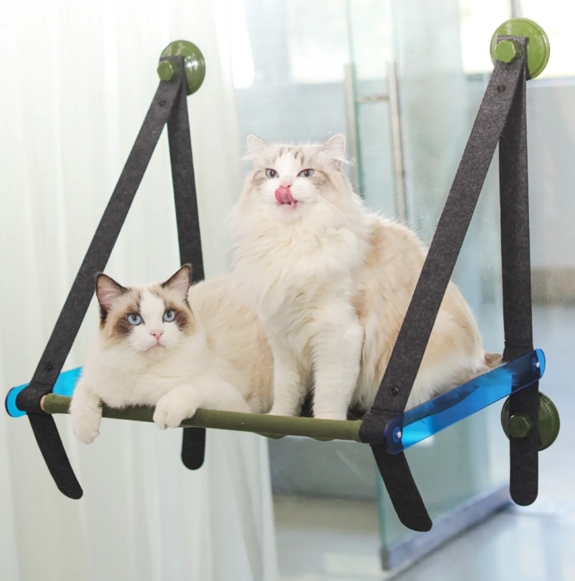 

Safety wooden Felt Acrylic Suction Cup Cat Window Hammock Bed for Sunbathing, Blue green