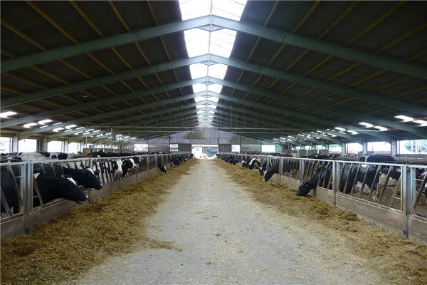 steel structure workshop industrial metal