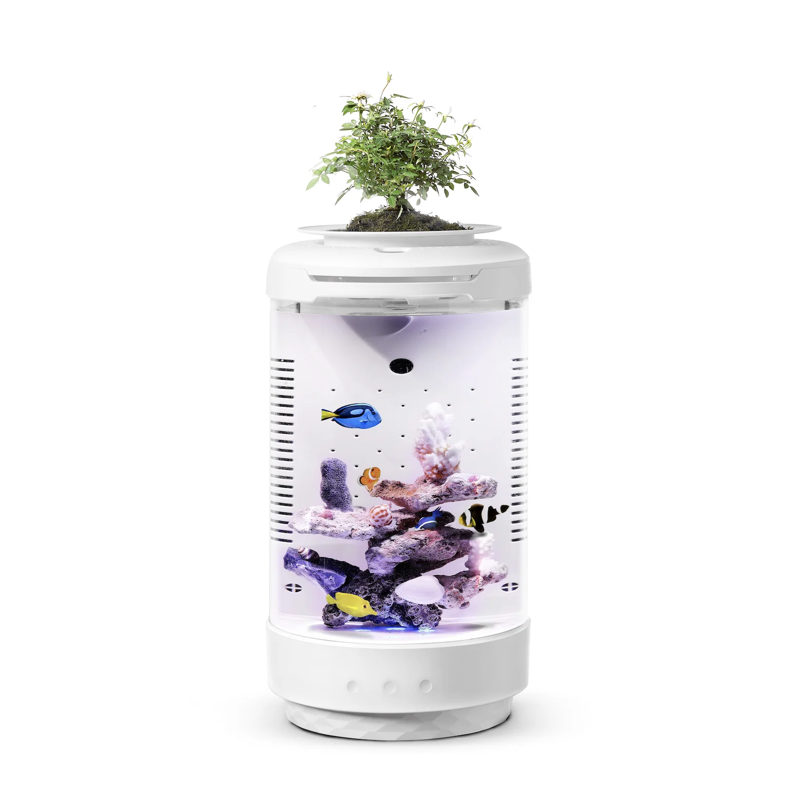 

Nano table tank small aquarium fish tank fresh water salt water