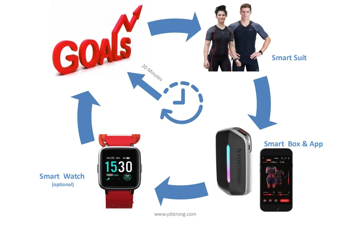 YDStrong EMS fitness  (3)