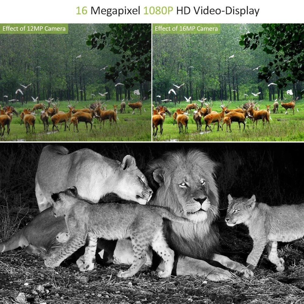 pr100 hunting camera  (1).jpg