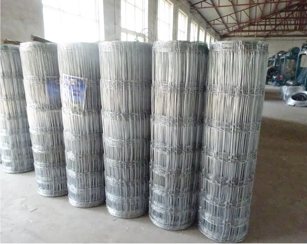 berita perusahaan terbaru tentang Pagar wire mesh tahan korosi yang kuat untuk pertanian  1