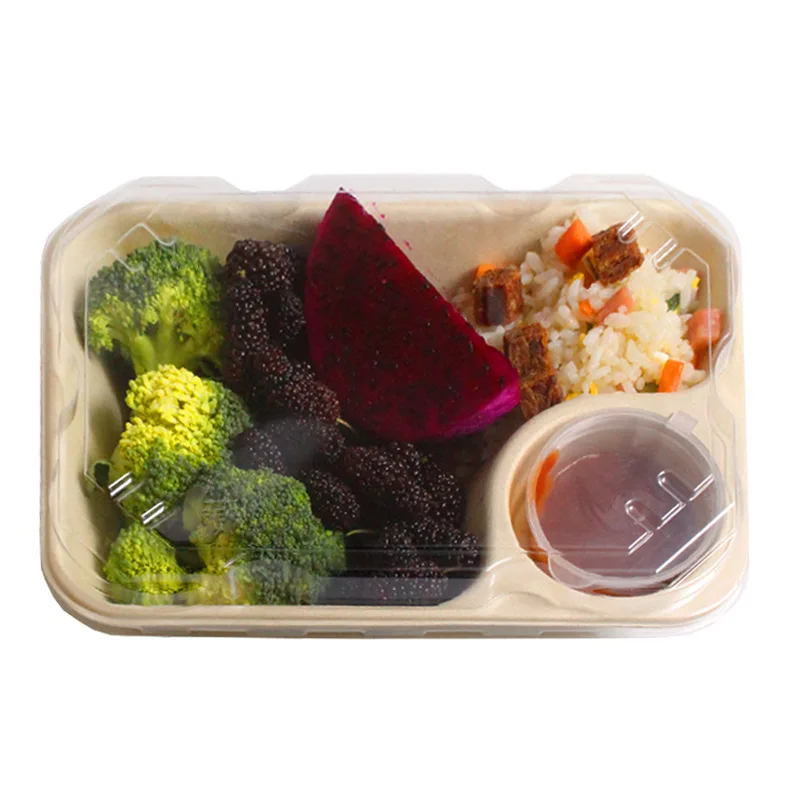

100% biodegradable disposable bagasse food tray, Customized color