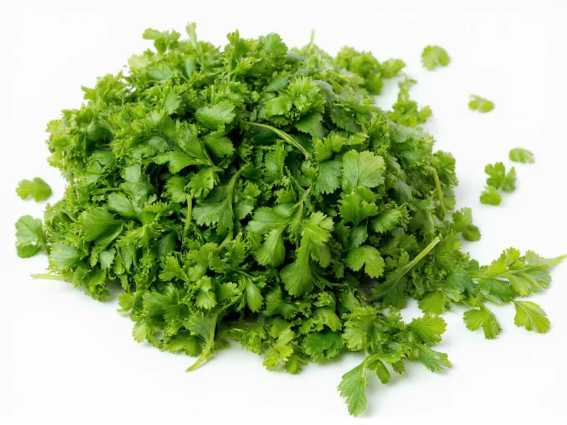 Best Ground Cilantro Substitute: 5 Expert-Tested Options