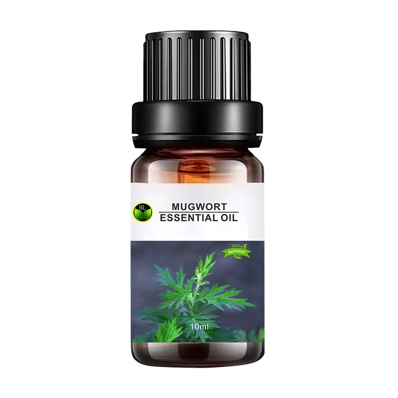 

Wild CBD Mugwort Essential Oil for Health Care