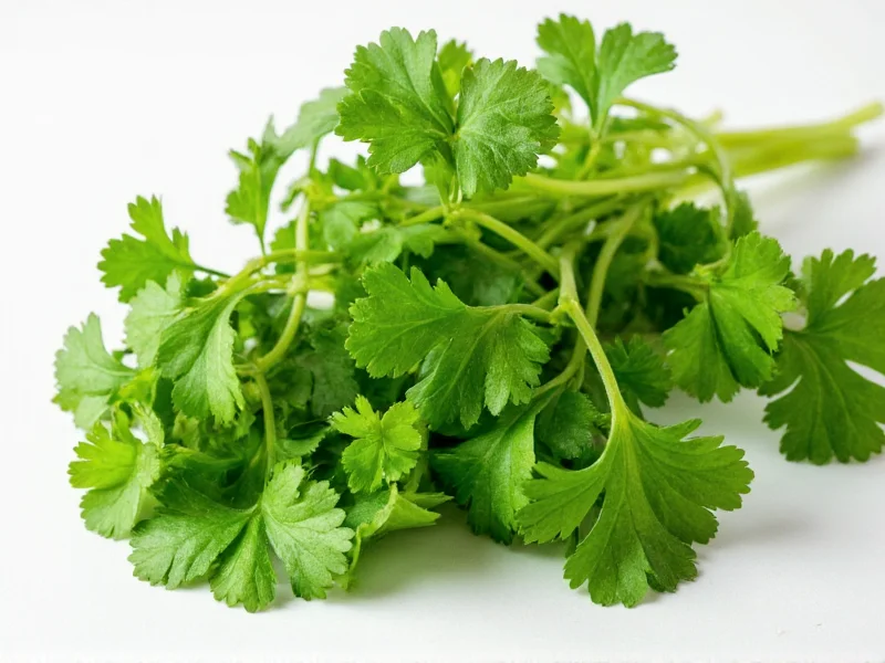 Italian Cilantro: Myth vs Reality in Italian Cooking