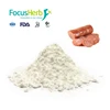 /product-detail/focusherb-transglutaminase-enzyme-60808685670.html