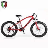 

48V 350W fat tire electric bike full suspension electric mountain ebike 26 inch fat bike electric bicycle